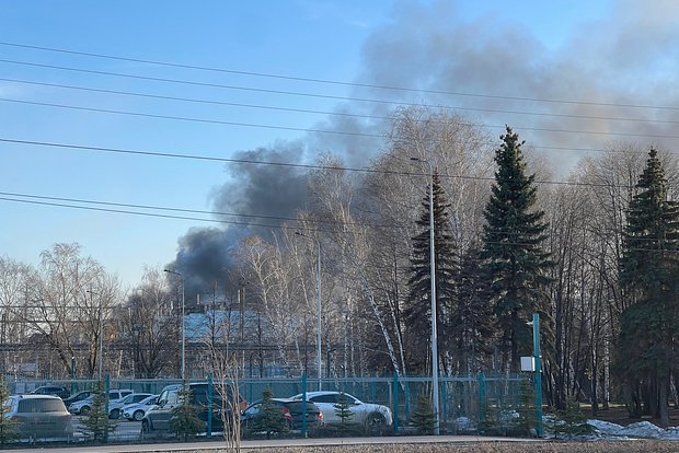 Вводная картинка