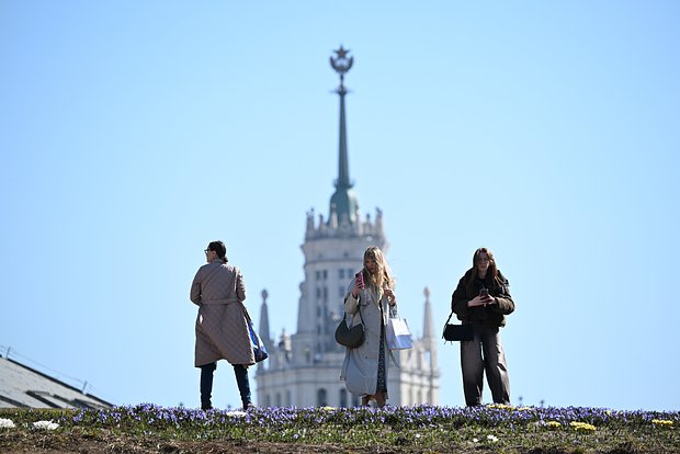 Вводная картинка