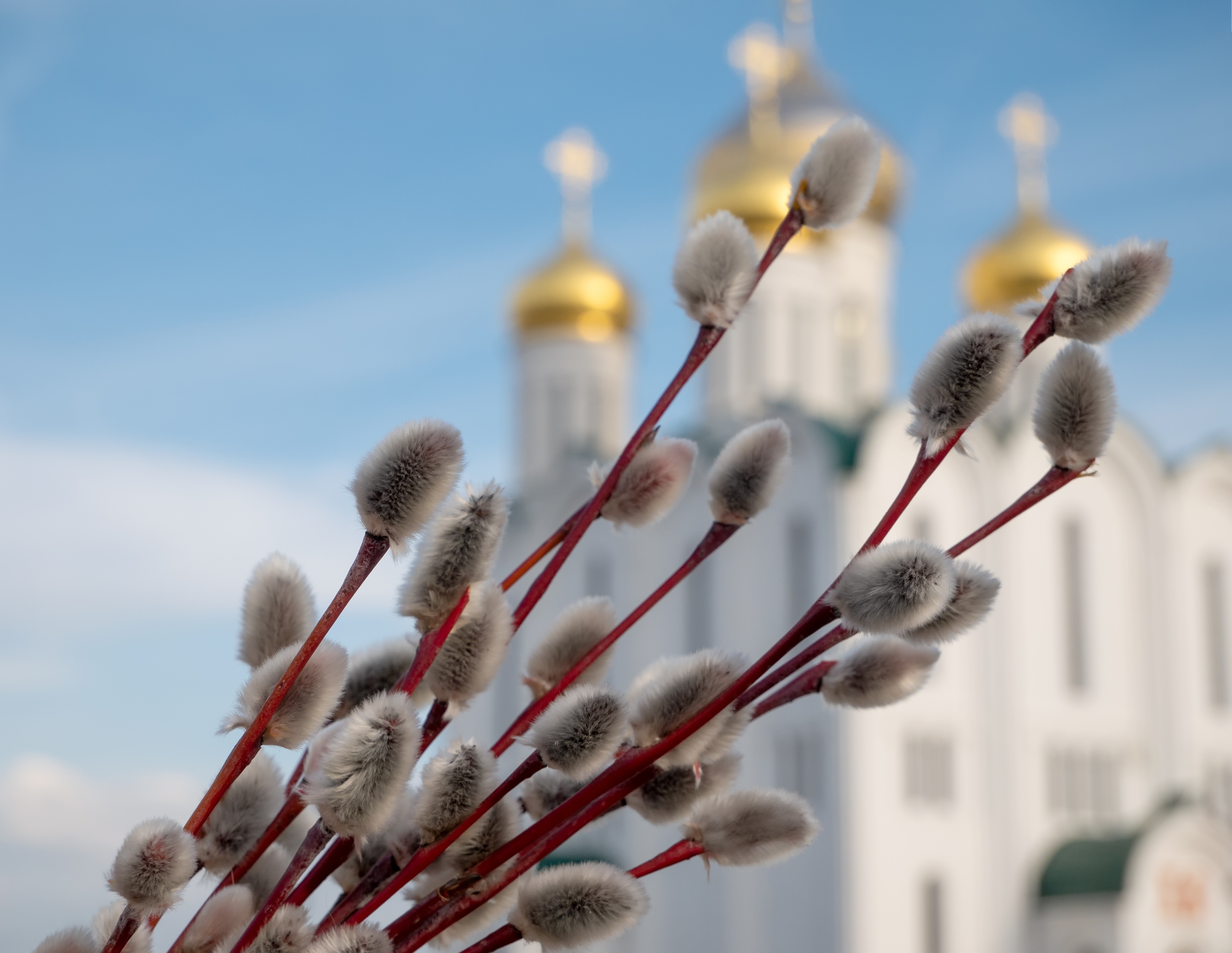 ��������&nbsp; � ������� ������������ 2026: 95+ �������� � ������������