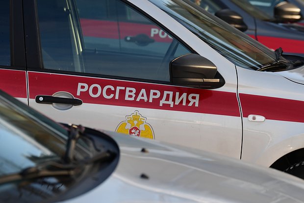 Вводная картинка