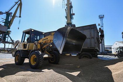 Две страны резко снизили импорт российской пшеницы