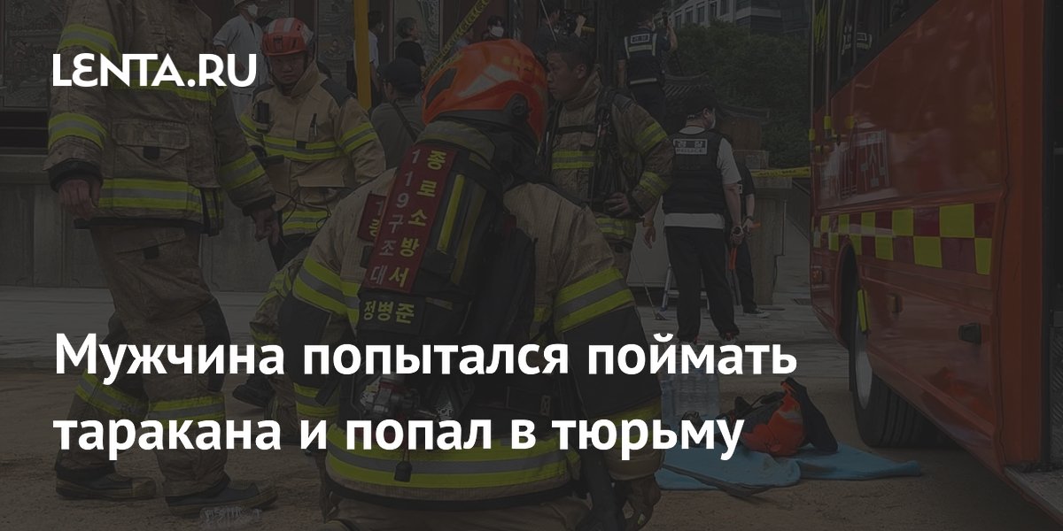 Мужчина попытался поймать таракана и попал в тюрьму