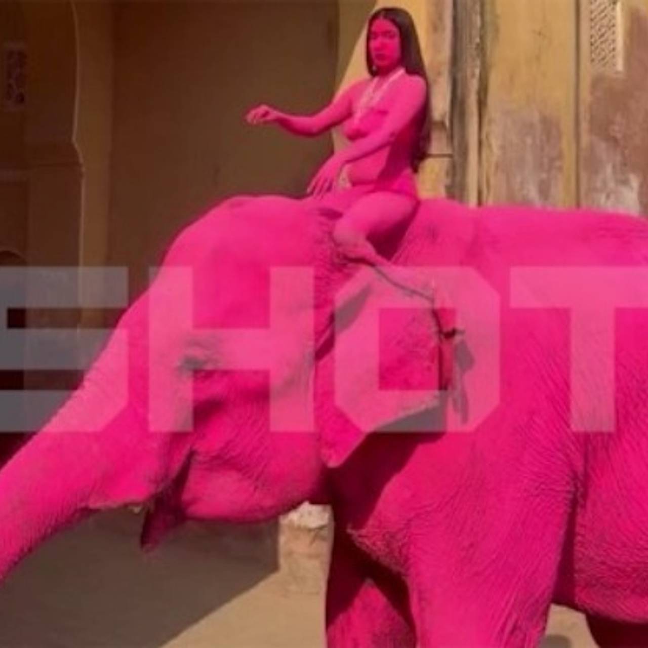 Покрашенный в розовый ради фотосессии россиянки слон не выжил в Индии