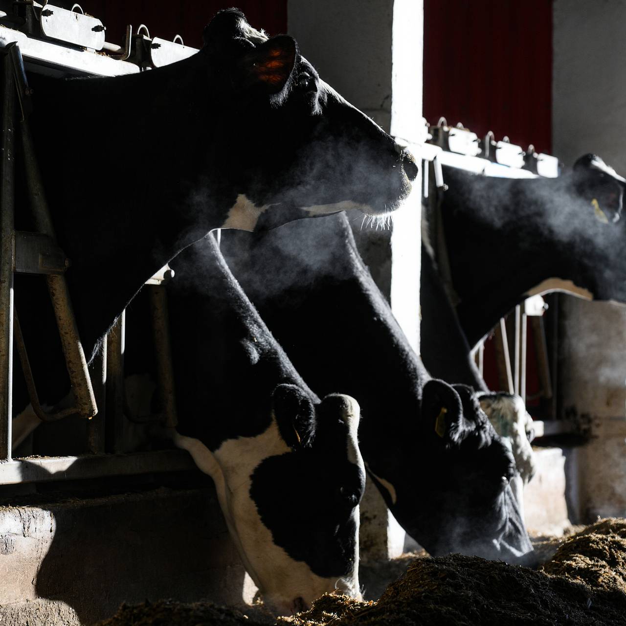 Господдержку российским фермерам решили урезать