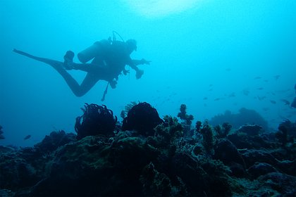 На месте кораблекрушения 2000-летней давности нашли идеально сохранившиеся сокровища