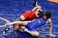 Арктика наращивает спортивную мощь и собирает сотни медалей на мировых аренах. Станет ли Север новой кузницей чемпионов?