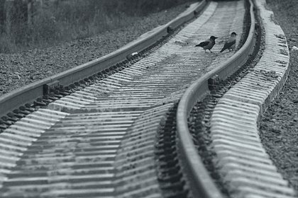 Пассажирский поезд Челябинск &mdash; Москва сошел с рельсов. В нем находилось несколько сотен человек