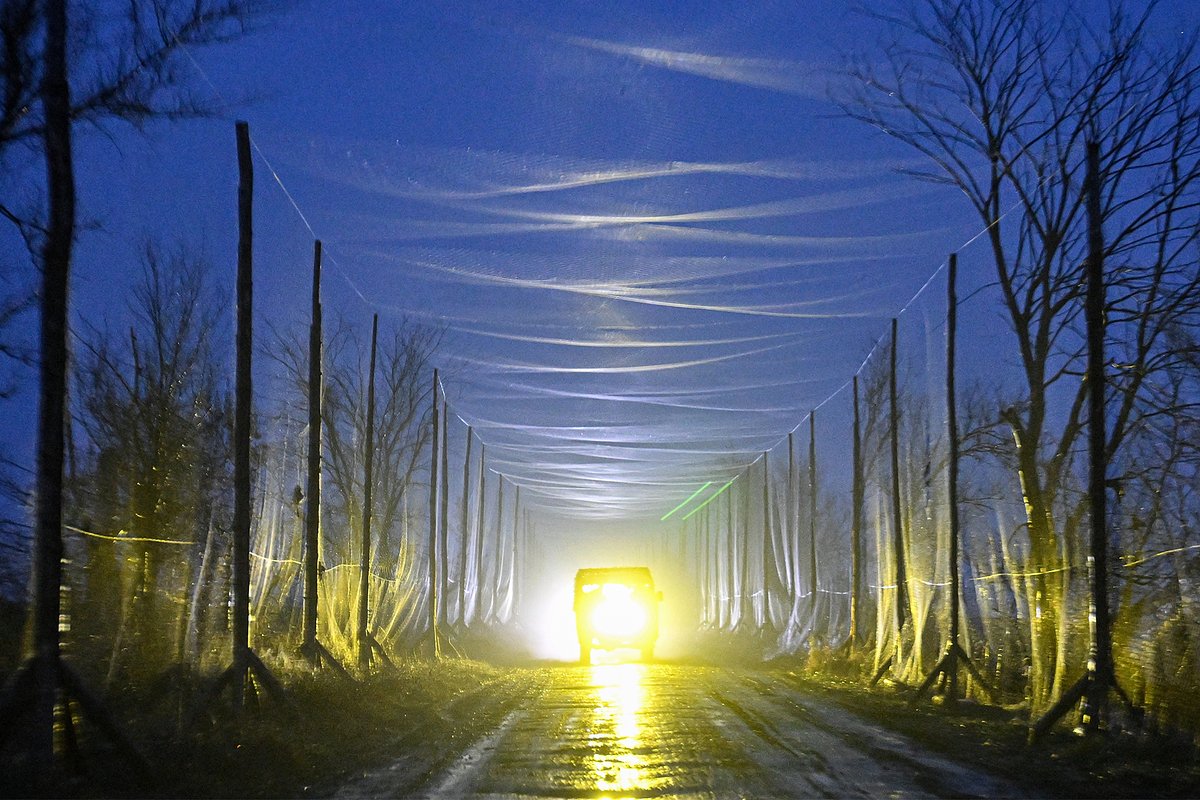 Дорога в окрестностях Красноармейска (Покровска). Донецкая Народная Республика (ДНР), Россия