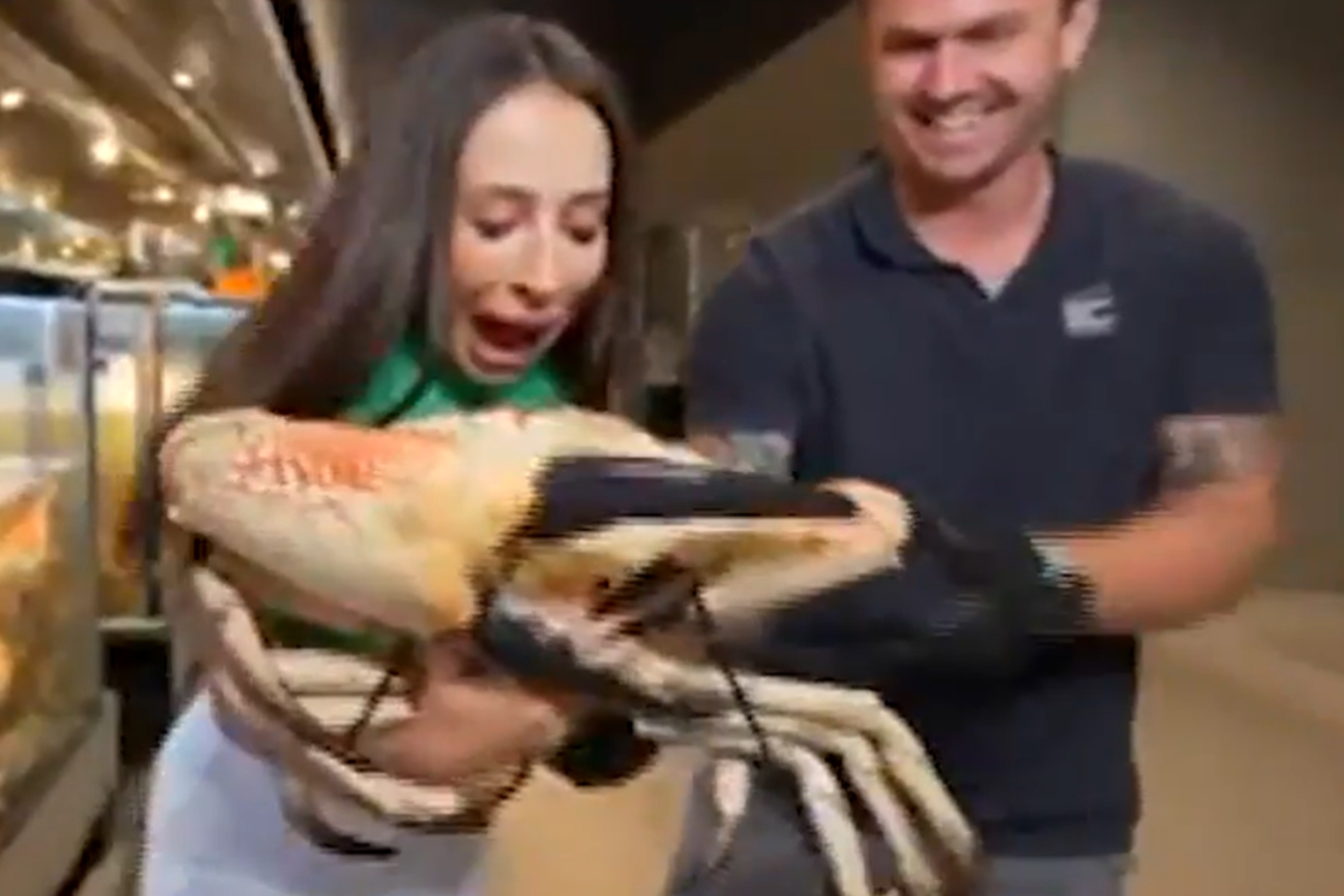 Репортер&nbsp; попала в больницу после нападения краба в прямом эфире