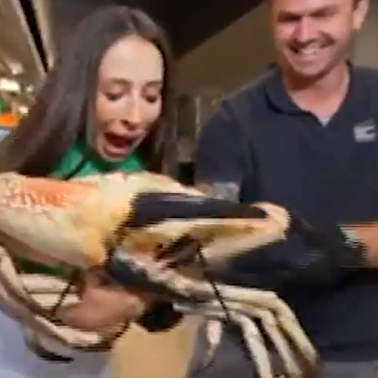 Репортер попала в больницу после нападения краба в прямом эфире