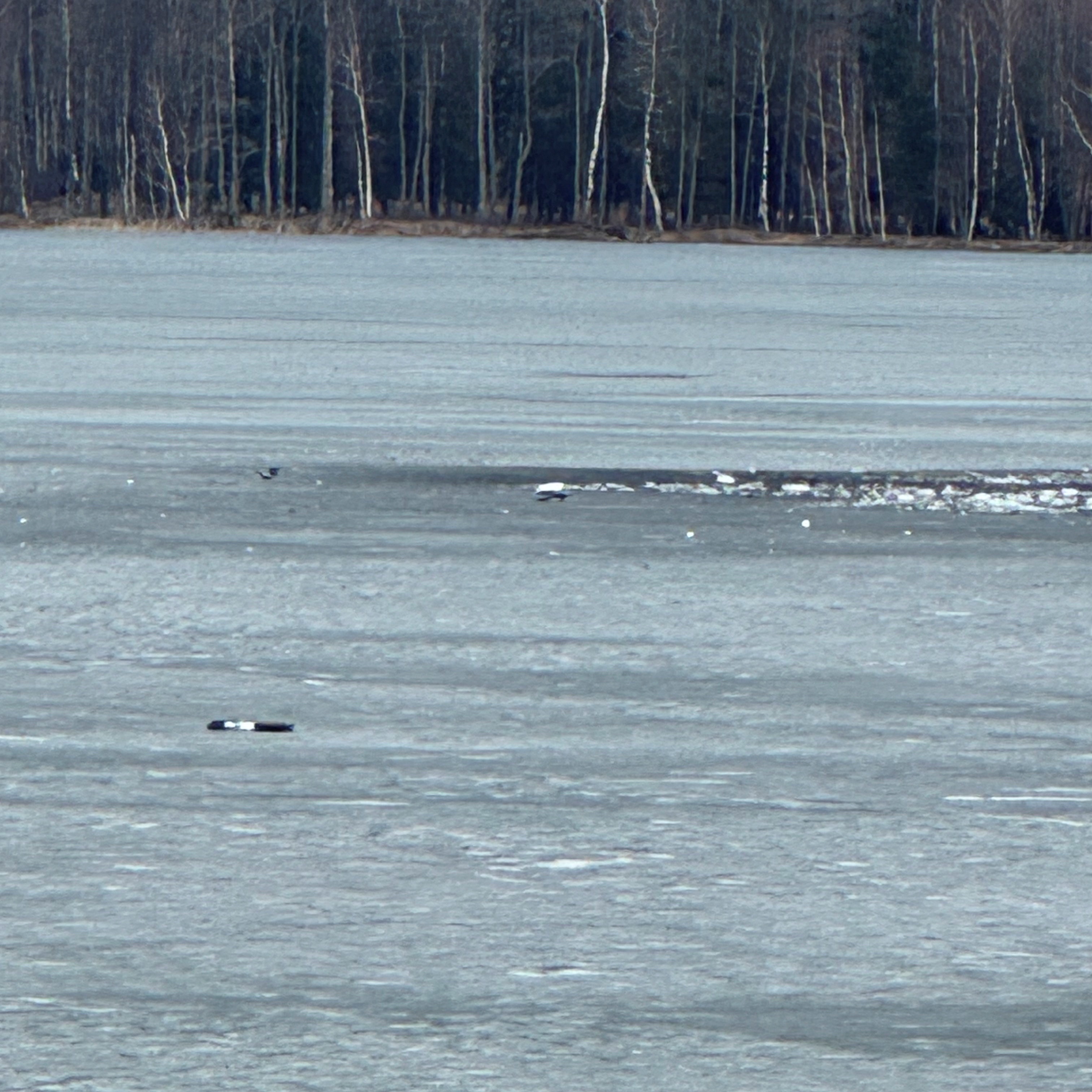 ��������������&nbsp; ���� � ����� ���������