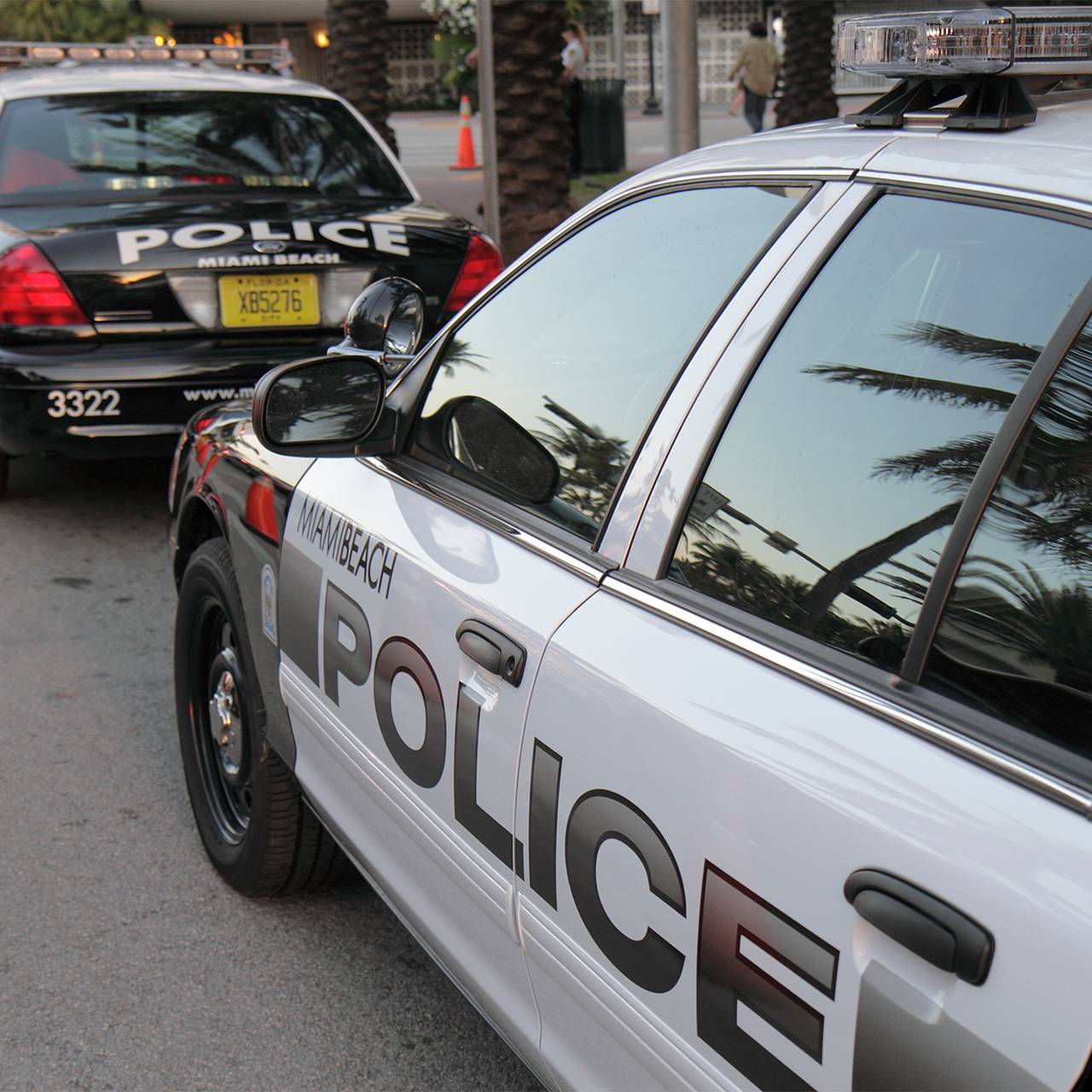 Полицейские нашли два чемодана с человеческими останками и арестовали 19-летнего юношу