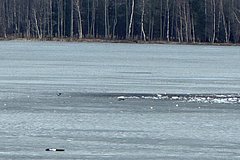 Место падения дронов в Литве