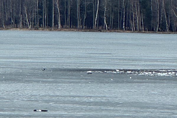 Место падения дронов в Литве