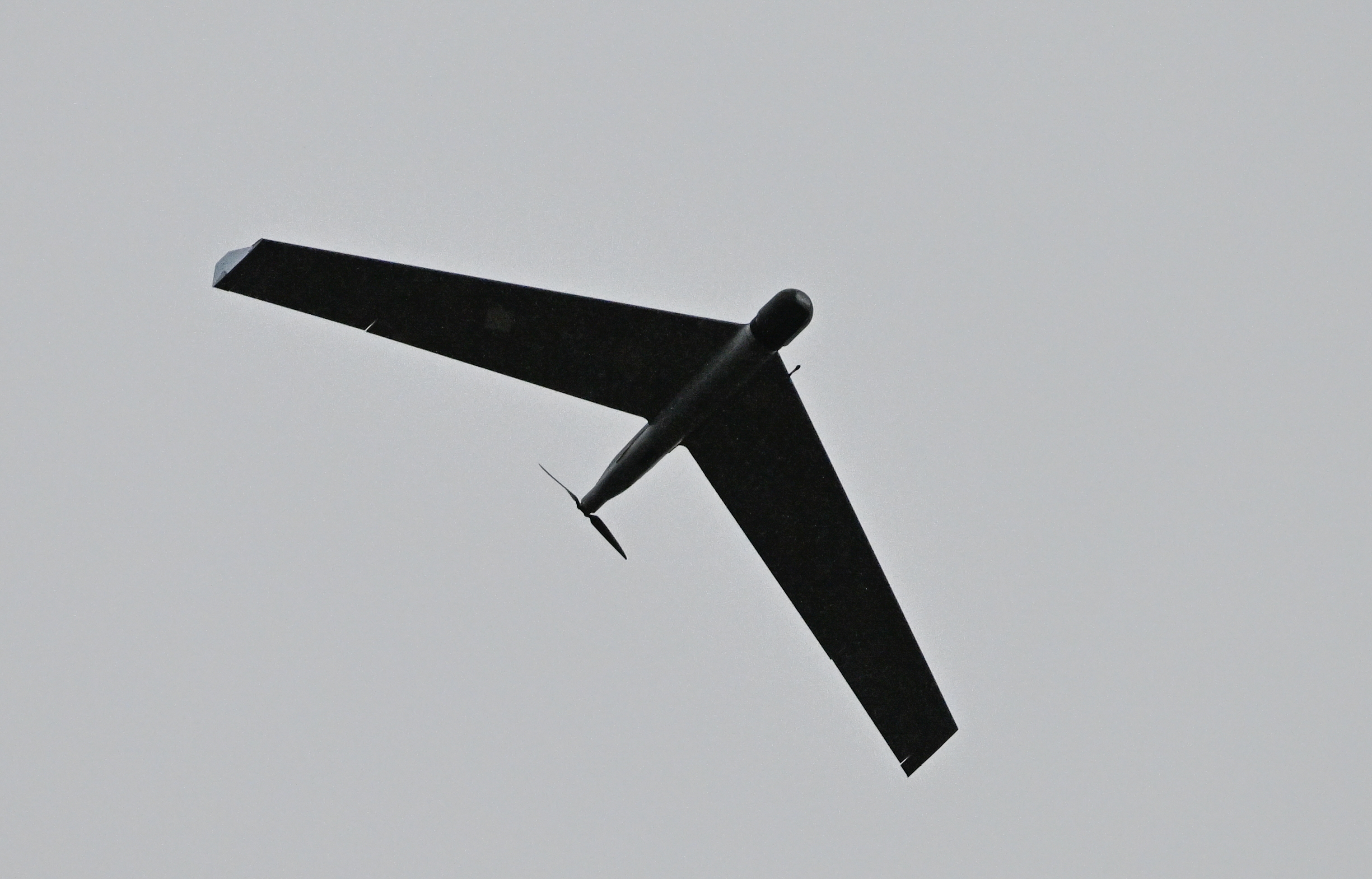 ���&nbsp; ���� ������������� ������ �������� ��������� ����������� ����