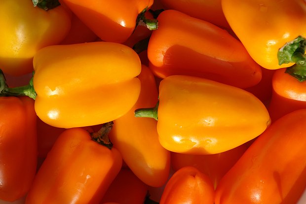 «Абрикосовая фаворитка»