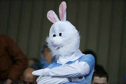 Мужчина стал домогаться до женщины в костюме пасхального кролика