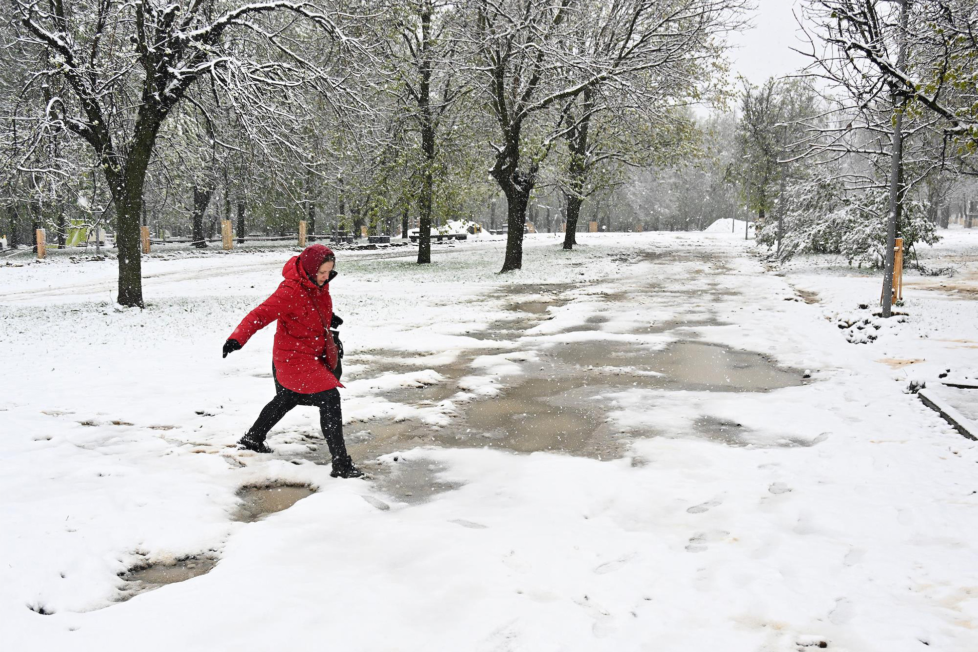 ���������&nbsp; ����������� ��� ������ ��������� ������