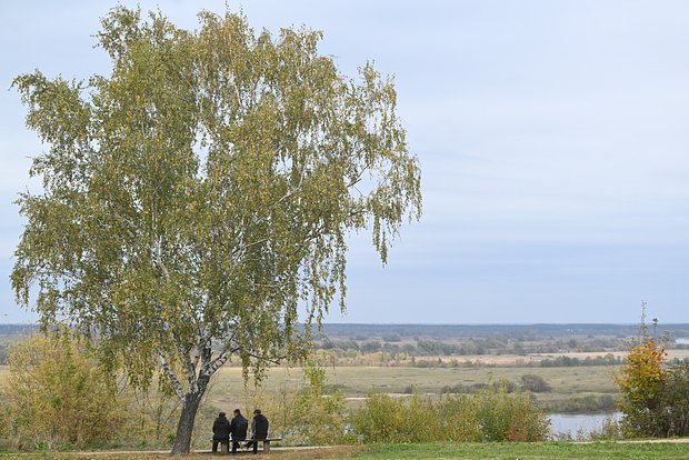 Вводная картинка