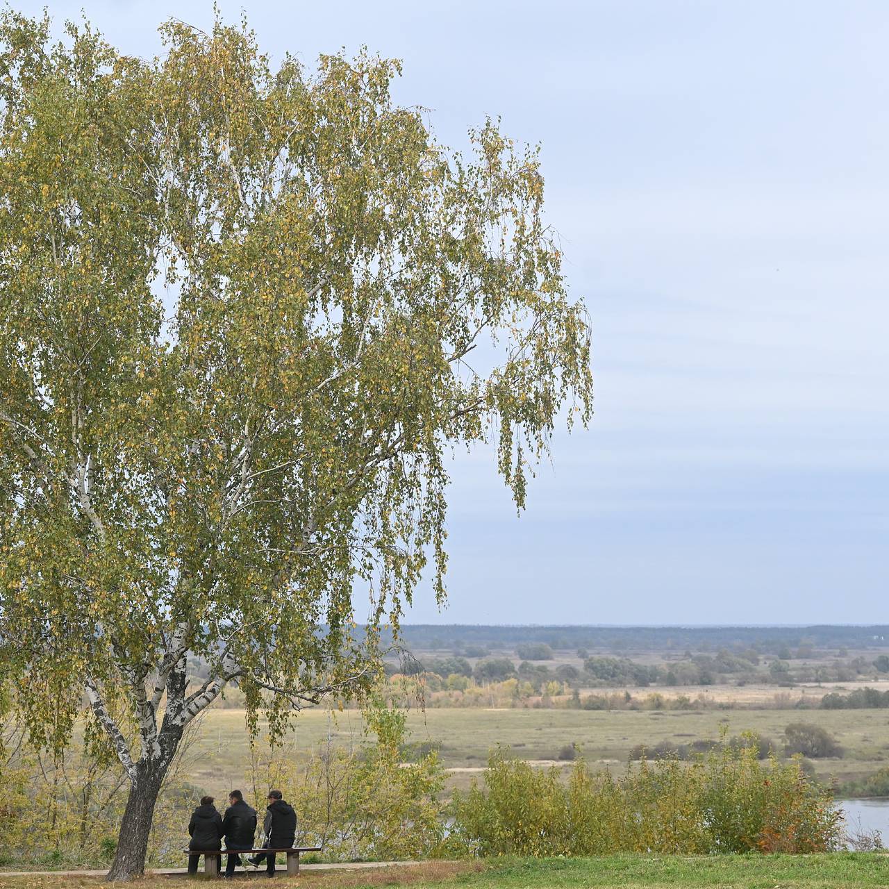 Безумово и Тупицыно объяснили