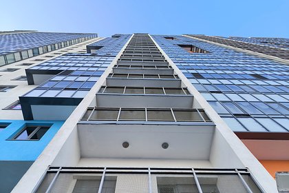 В Подмосковье 20 котов заперли свою хозяйку на балконе