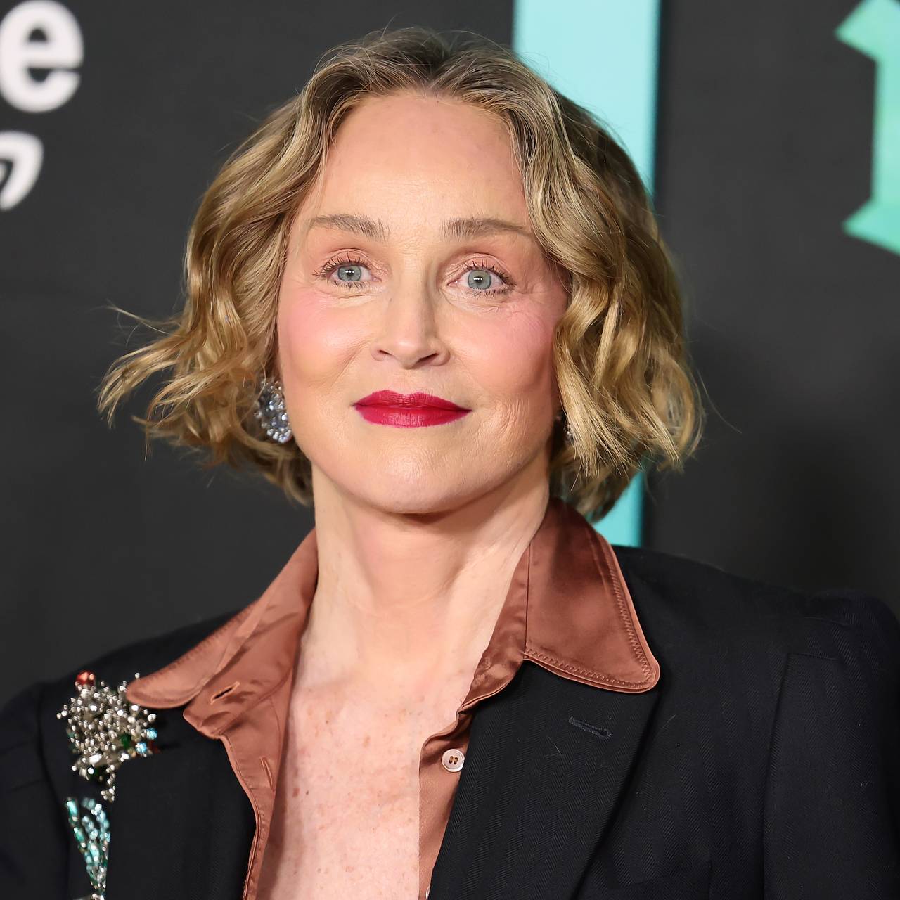 Шэрон Стоун заявила об отказе от просмотра интимных сцен