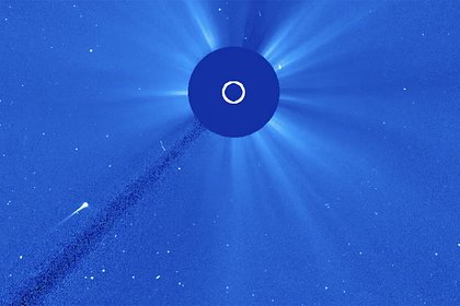 Ученые заявили о поглощении самой яркой кометы года