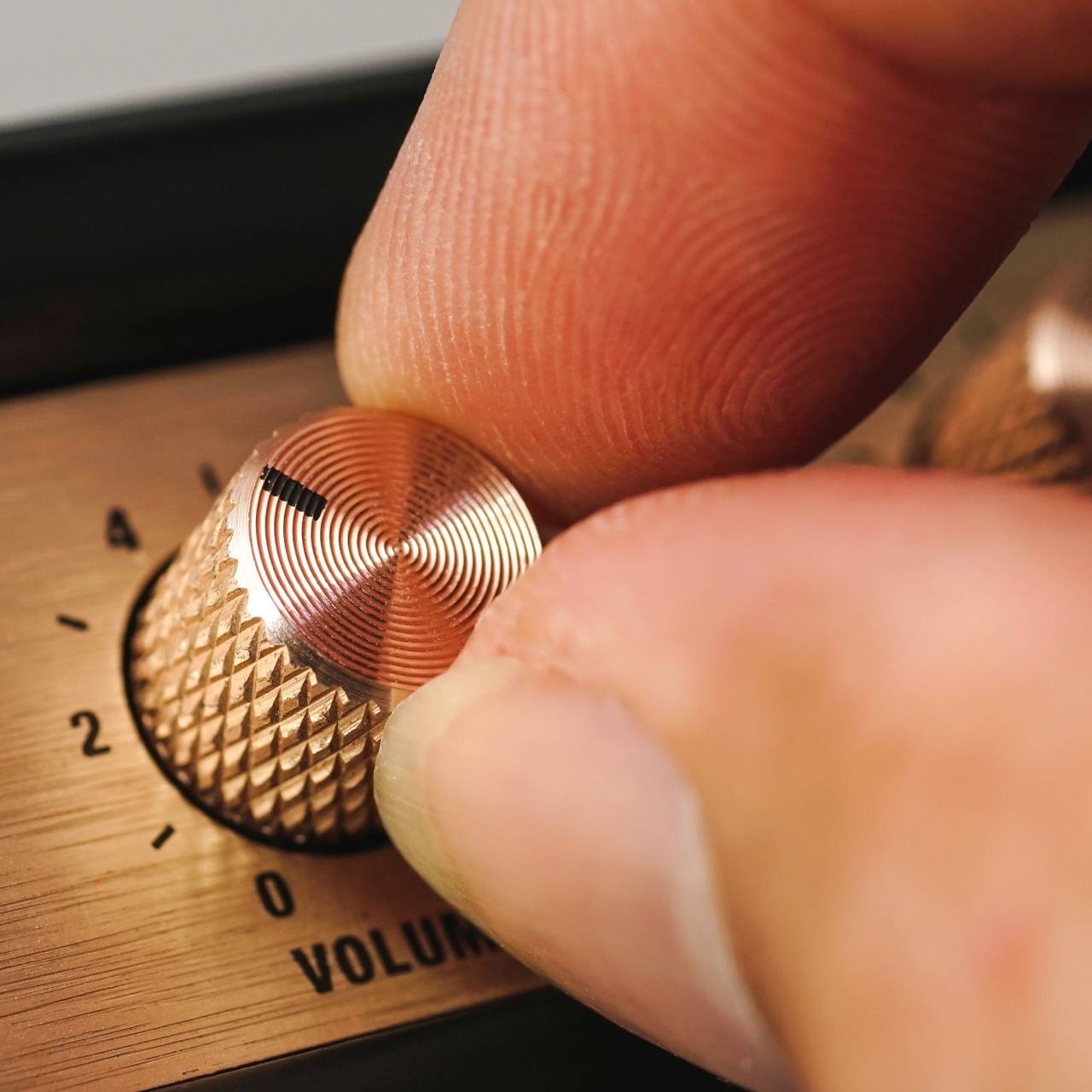 &laquo;Радиостанция Судного дня&raquo; передала сигнал &laquo;тележка&raquo;