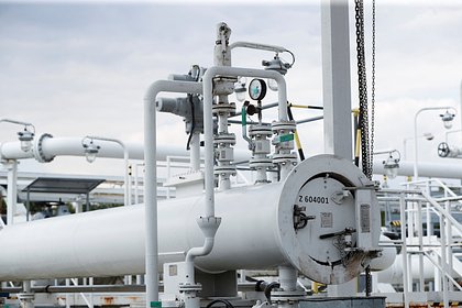 Во Франции сравнили ситуацию с газопроводом в Сербии с &laquo;Северными потоками&raquo;