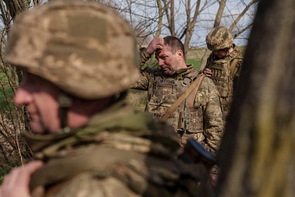 Солдат ВСУ стали чаще наказывать &laquo;деревьями правды&raquo;
