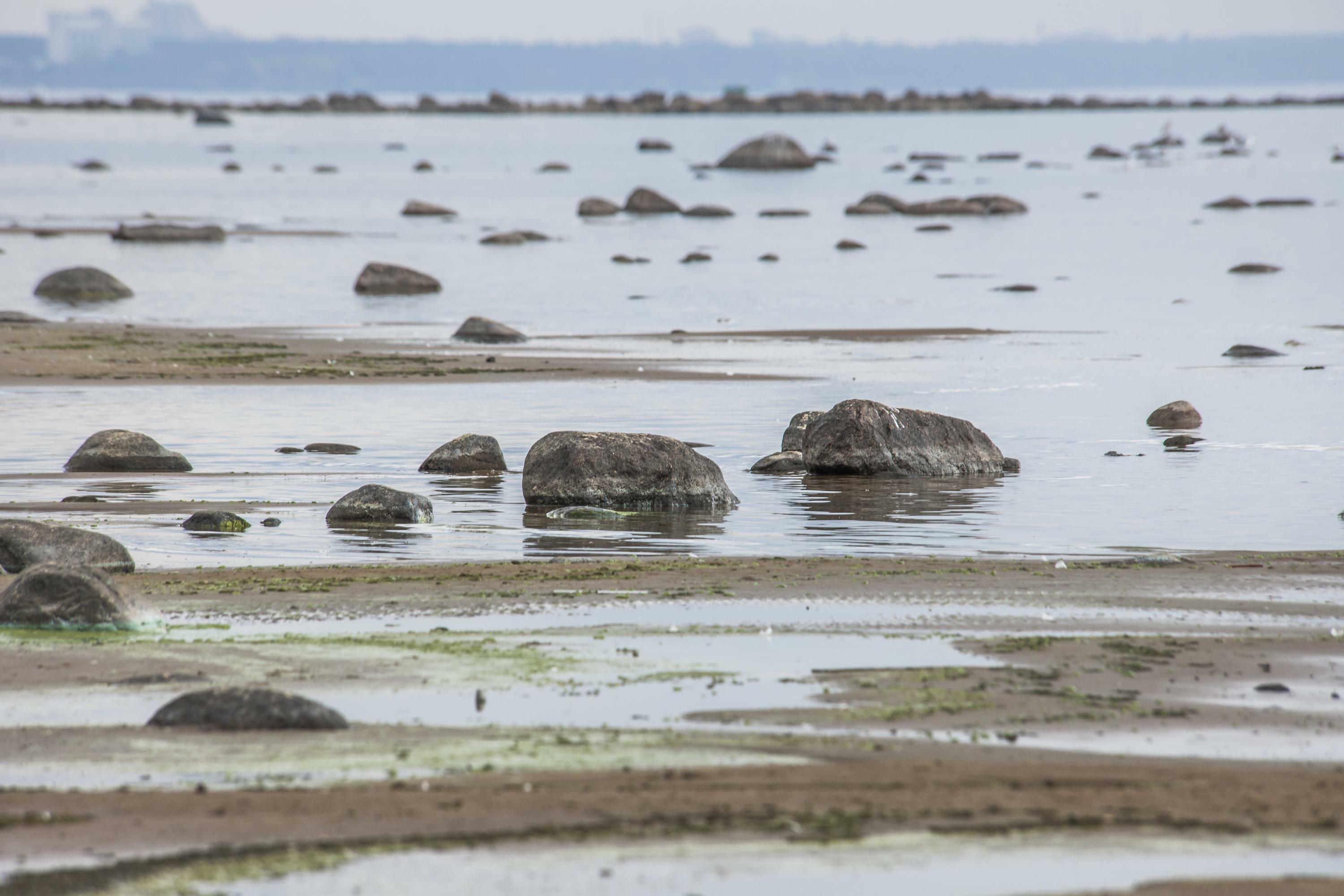 ��&nbsp; ������ �������� ������ ���������� ��������� ��������� ��������������