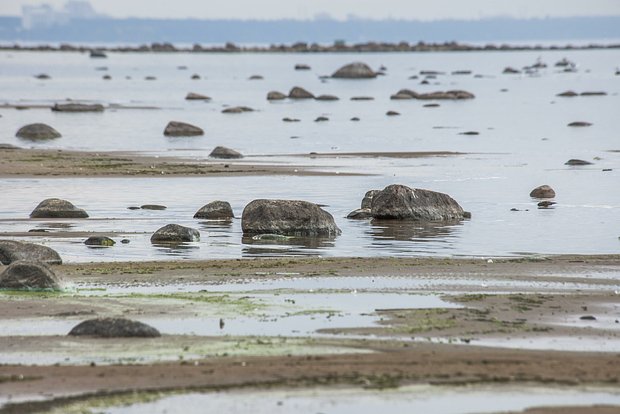 Вводная картинка