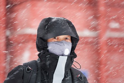 Москвичам пообещали мокрый снег