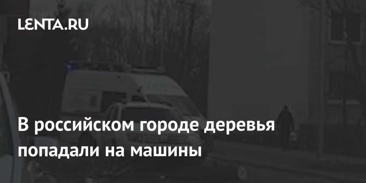 В российском городе деревья попадали на машины