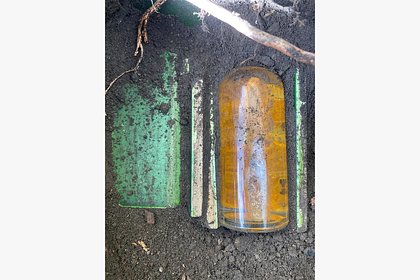 Древняя находка в саду смутила пользователей сети