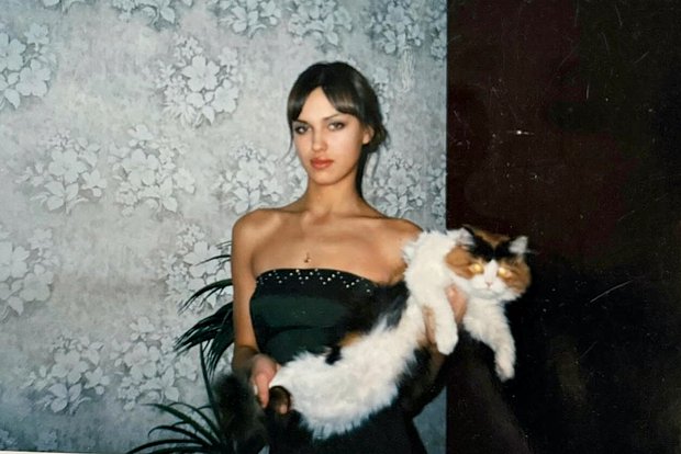 Вводная картинка