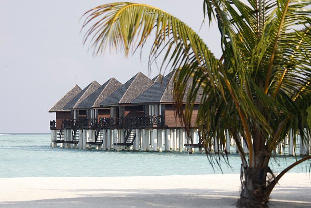 Вводная картинка