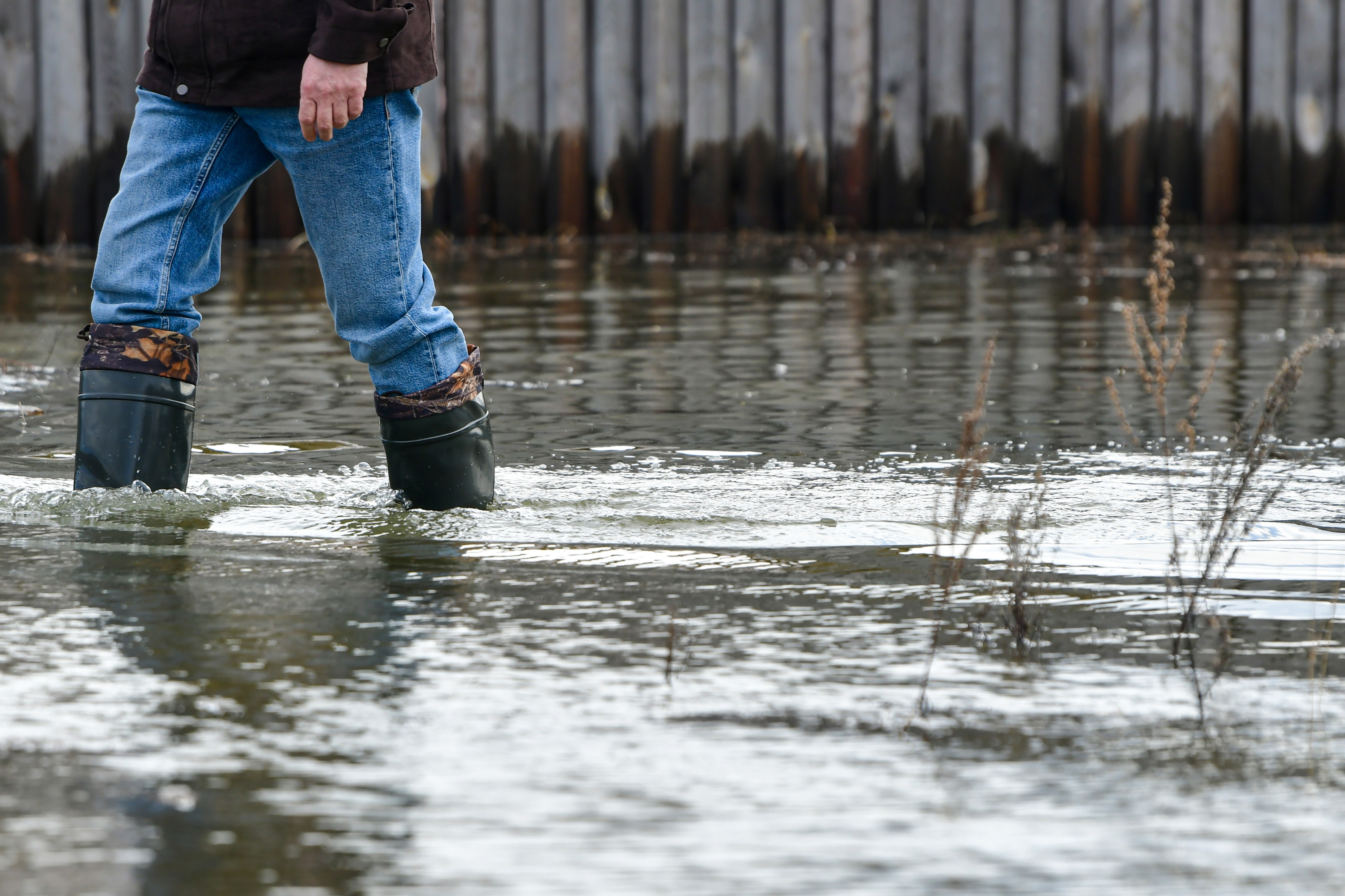 �����������&nbsp; ������� ��������� ���� � ���������� ������