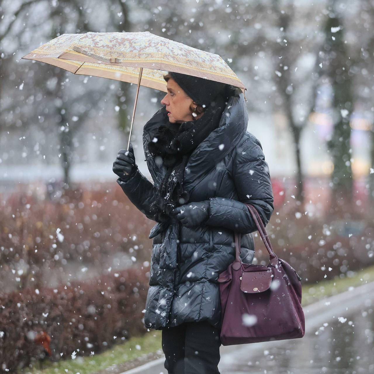Москву забросает мокрым снегом