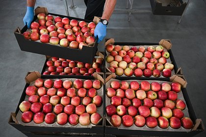 Российские фермеры попросили избавить их от новых платежей