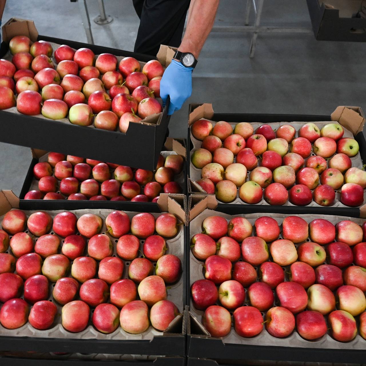 Российские фермеры попросили избавить их от новых платежей