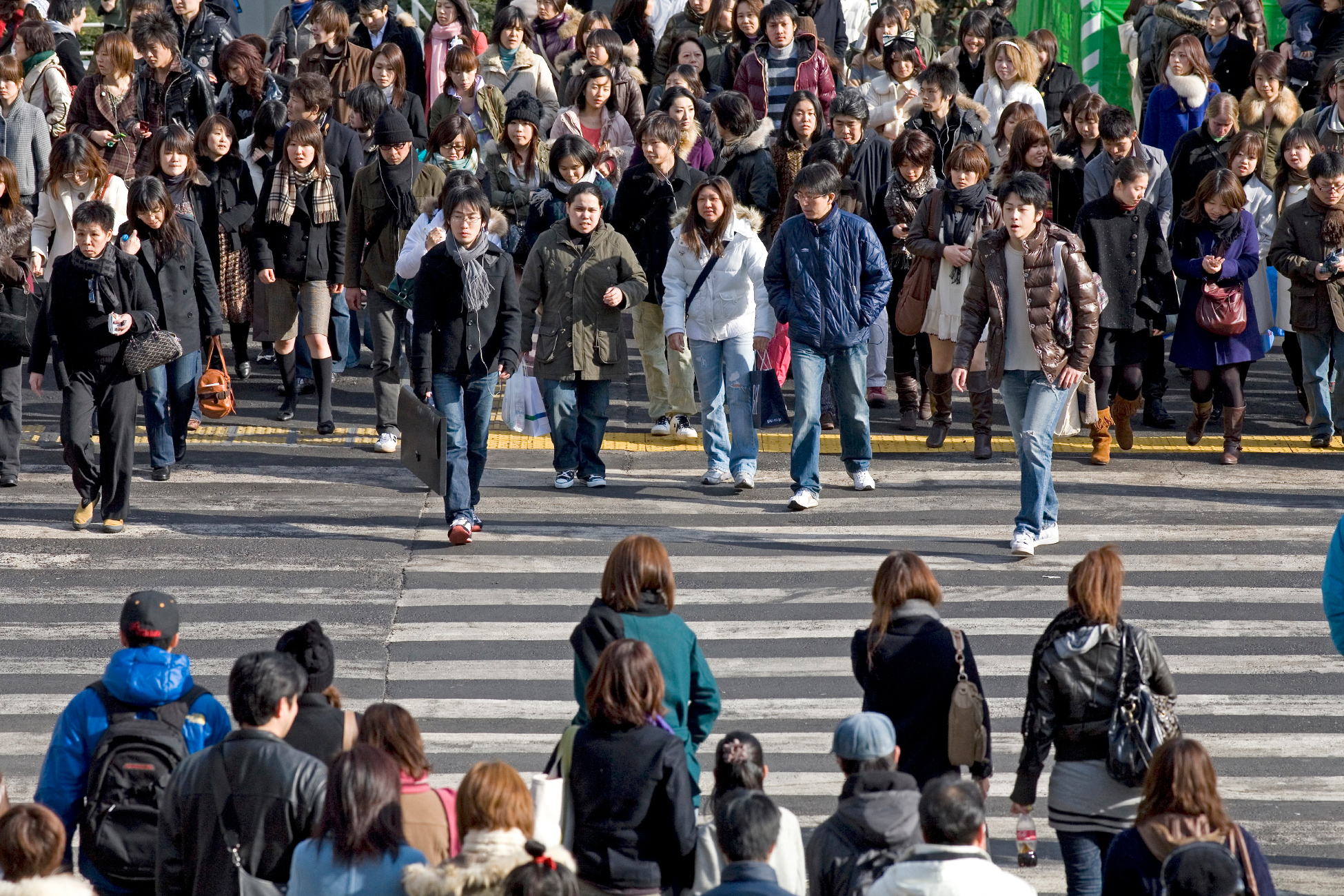 Ученые&nbsp; заявили о перенаселении Земли