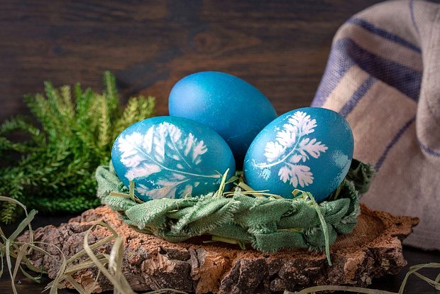 Для украшения пасхальных яиц можно использовать свежие листья петрушки, укропа, кинзы, листья клена, березы, папоротника