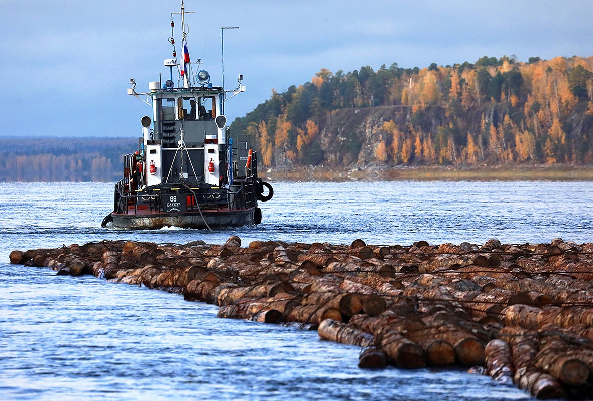 Буксир готовит плот ангарской лиственницы и ангарской сосны для дальнейшего сплава вниз по Енисею