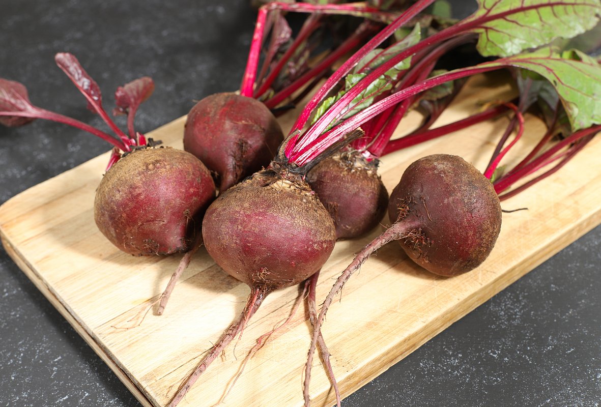 Сорт свеклы «Красный шар»