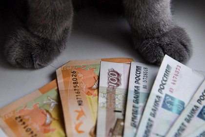 Россиянам назвали способ получать на пенсии 100 тысяч в месяц