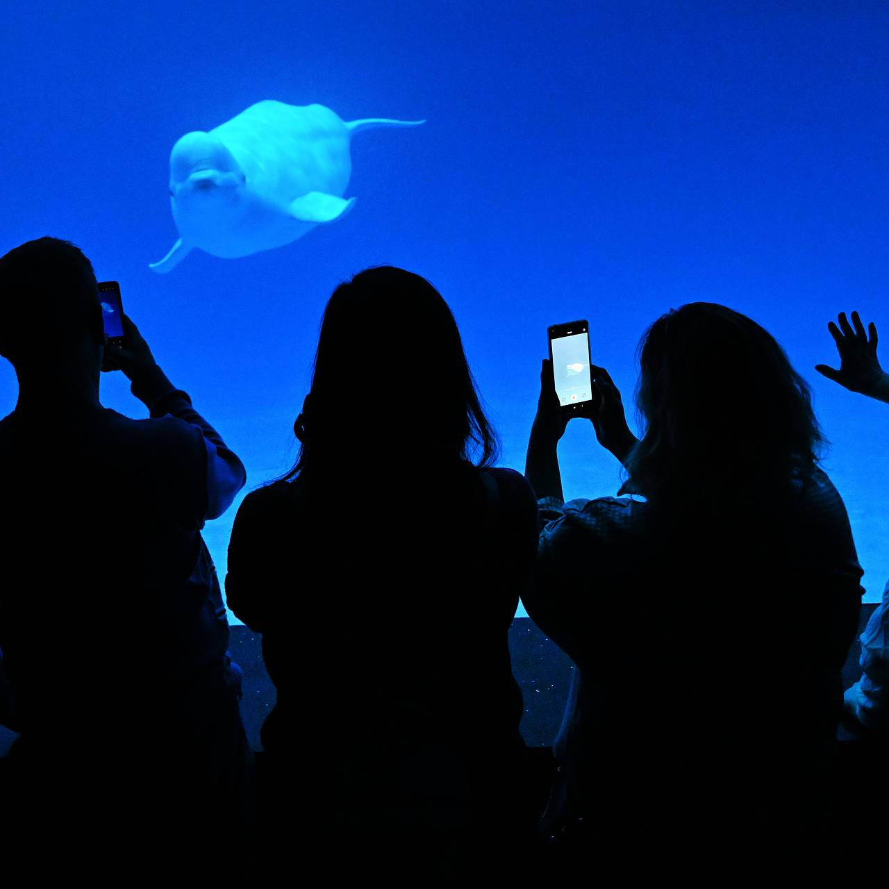 К &laquo;Тотальному диктанту&raquo; в российском регионе присоединятся необычные участники