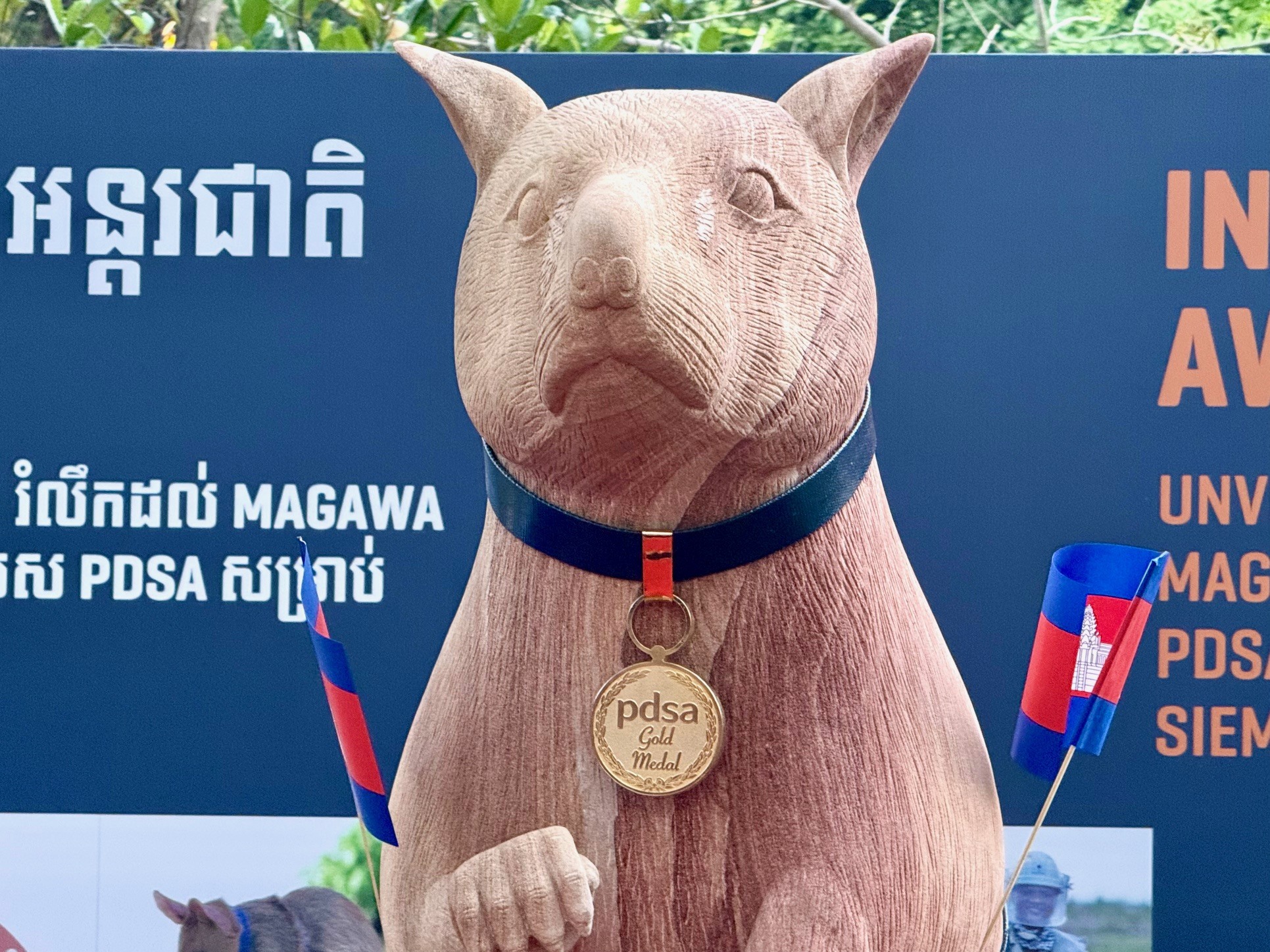 �������&nbsp; ������� ������� ���������� �����-������ ��������� ��������