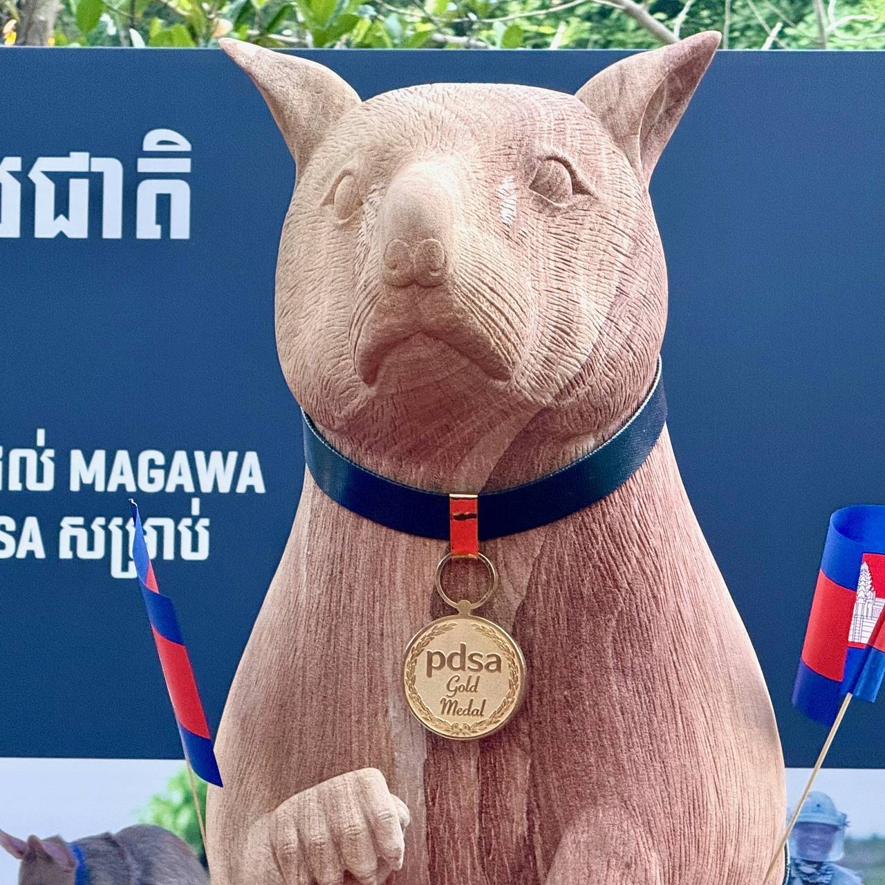 Спасшей десятки человек гигантской крысе-саперу поставили памятник