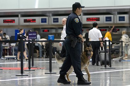 Туристка приехала в США на встречу с мужчиной и пропала без вести